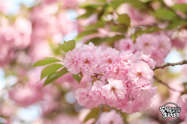 亿万28官网-追求健康,你我一起成长