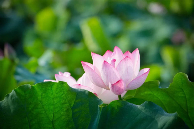 亿万28官网-追求健康,你我一起成长