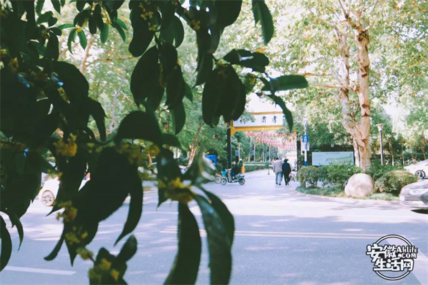 亿万28官网-追求健康,你我一起成长