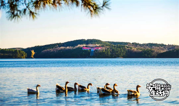 亿万28官网-追求健康,你我一起成长