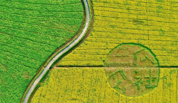 亿万28官网-追求健康,你我一起成长