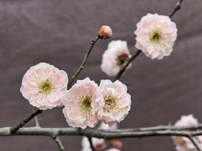 亿万28官网-追求健康,你我一起成长